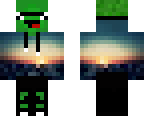 savge turtle