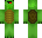 another turtle