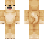 doge is fat