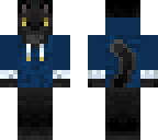 hooded cat with clothes