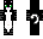 kitty