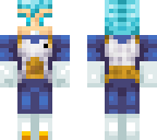 vegeta ssb
