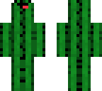 derpy cactus