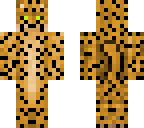 cheetah