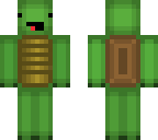 turtle