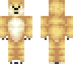 class awsome doge