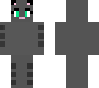 grey cat