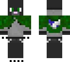 poncho cat