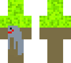 possum in a tree