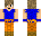 damaged turtle hermit updated