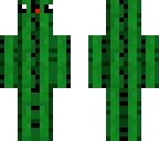cute cactus