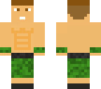 john cena v2