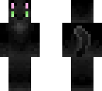 cat skin