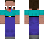 derp steve