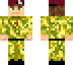 modern british para officer