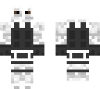 snow navy