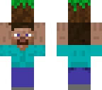 steve with a dirt block