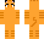 my orange cat