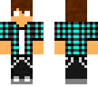 skin rig
