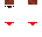 derp v4