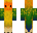 rainbow parakeet