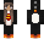 aye penguin