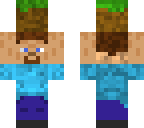 steve holding a grass block