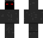 the lone survivor