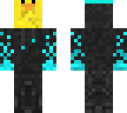 new version 2