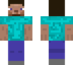 steve skin