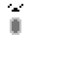 polarbear
