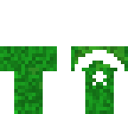 pakistani flag