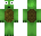 stunned turtle