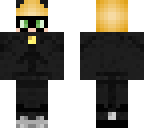 adrian chat noir