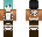 fixed aot skin