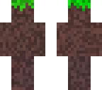 dirt skin