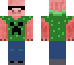 v2 cool minecraft pig