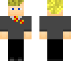 harry potter skin