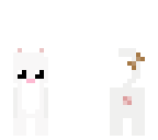 kitty