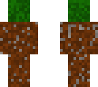 dirt