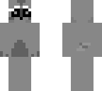 raccoon