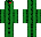 cactus with face on chin partly fixed