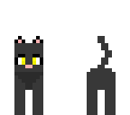 black cat