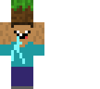 mini steve