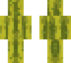 edit of melon