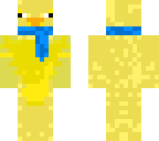 ally scarf duck
