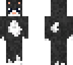 kitten
