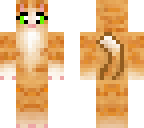 orange cat