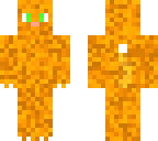 bright orange warrior cat