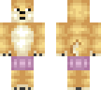 doge with tutu